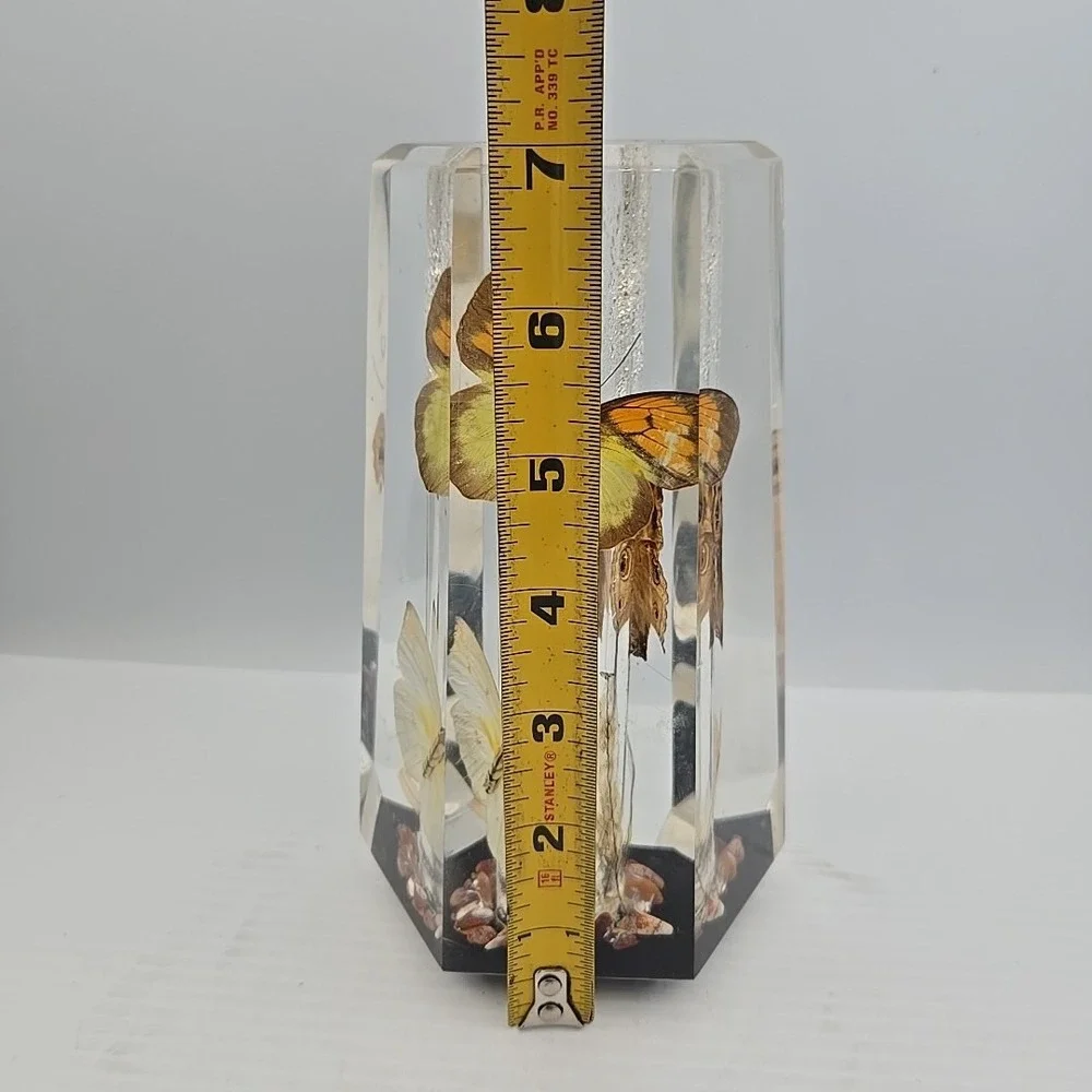 70's Acrylic Vase Real Butterfly Wings Foliage Vintage Lucite Tapered Hexagon GA